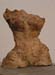torso