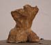 torso_rygg